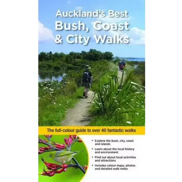 Auckland’S Top Bush, Coastal, And Urban Walking Routes 1