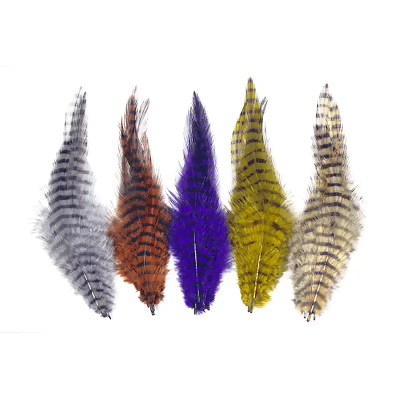 Barred Strung Saddle Hackle Feathers 1
