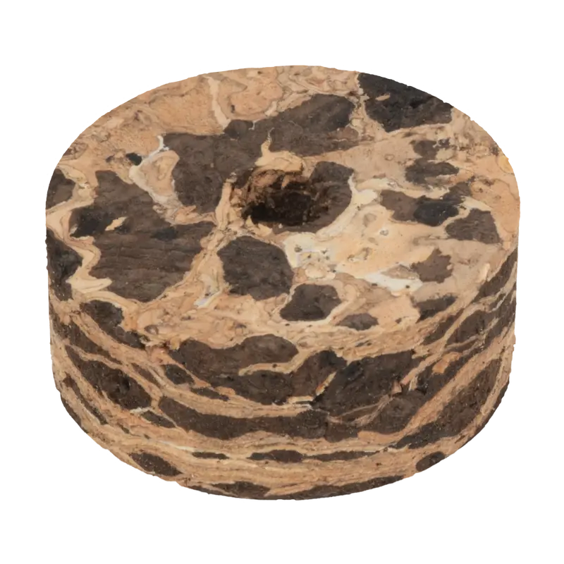 Cactus-Themed Burl Cork Rings – Cork4Us Limited Edition 1