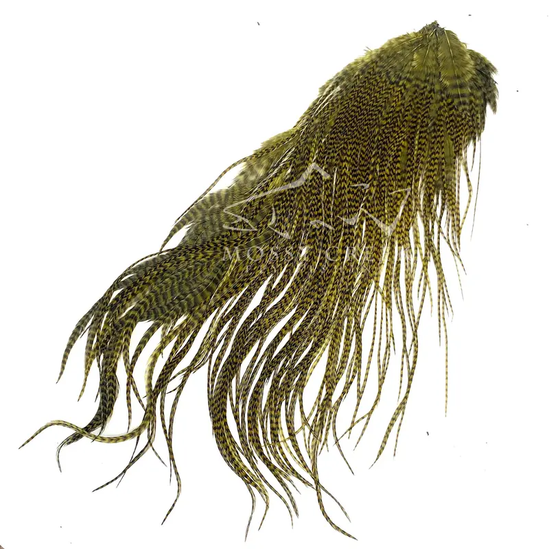 Keough Grade #1 Half-Saddle Grizzly Olive Hackle 1