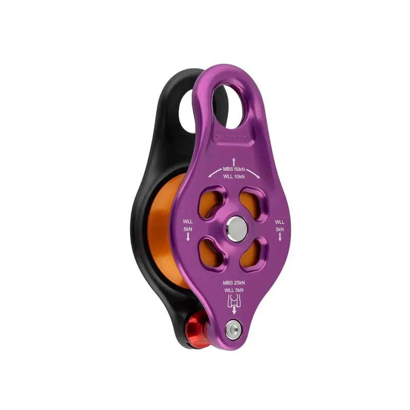 Pinto Rig Dual-Pulley System – Mechanical Advantage Setup 1