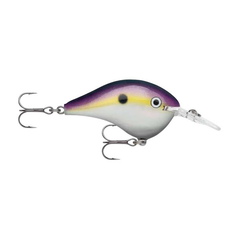 Rapala Dt6 Medium-Diving Crankbait Lures 10
