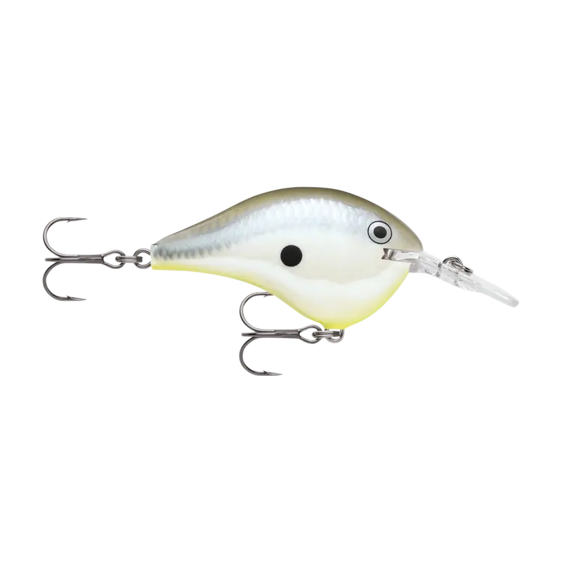 Rapala Dt8 Shallow-Diving Crankbait 9