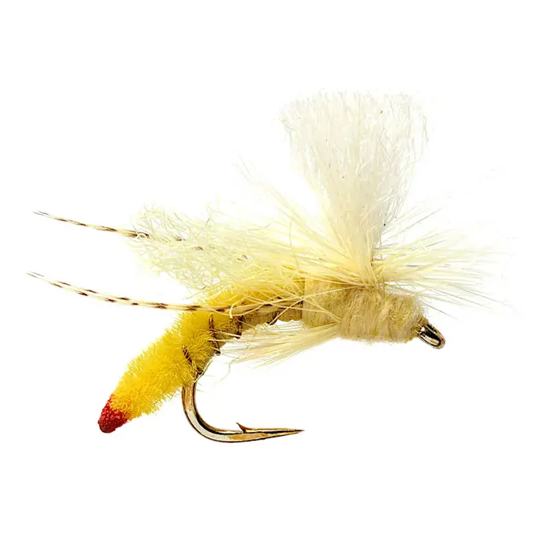 Spotlight Yellow Sally Stonefly 1